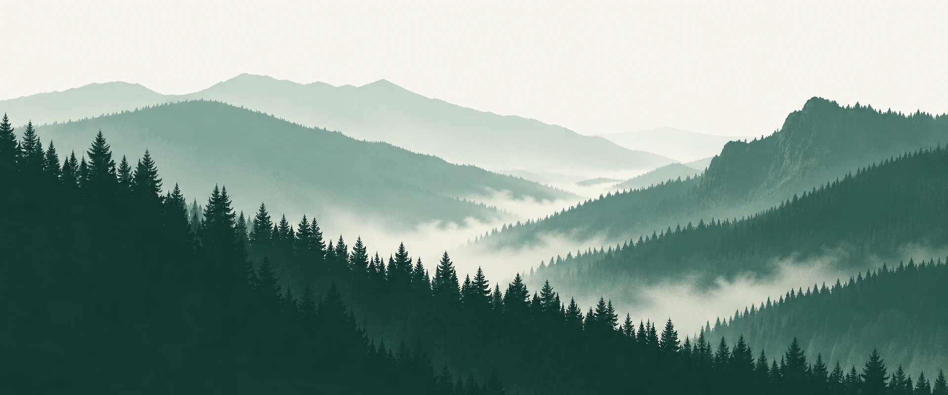 Layered evergreen forests and mountain ridges recede into pale Pacific Northwest mist.